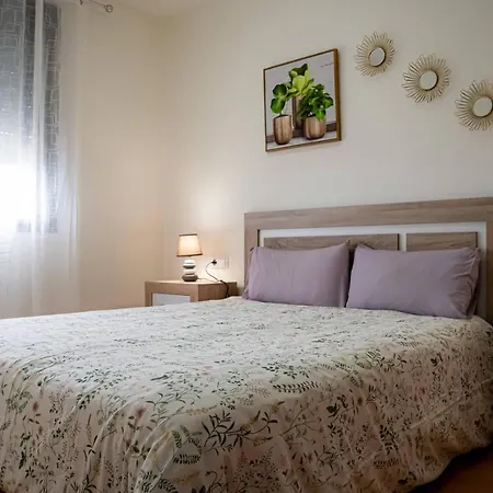 Timple Icod De Los Vinos